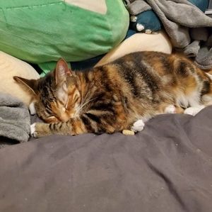 Meet your Posher, Logan